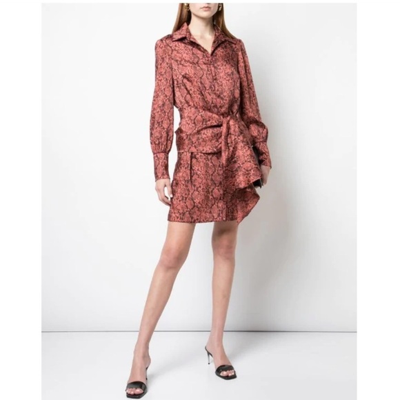 Cinq A Sept | Gaby Python Rosewood Shirt Dress 0 - Picture 8 of 16